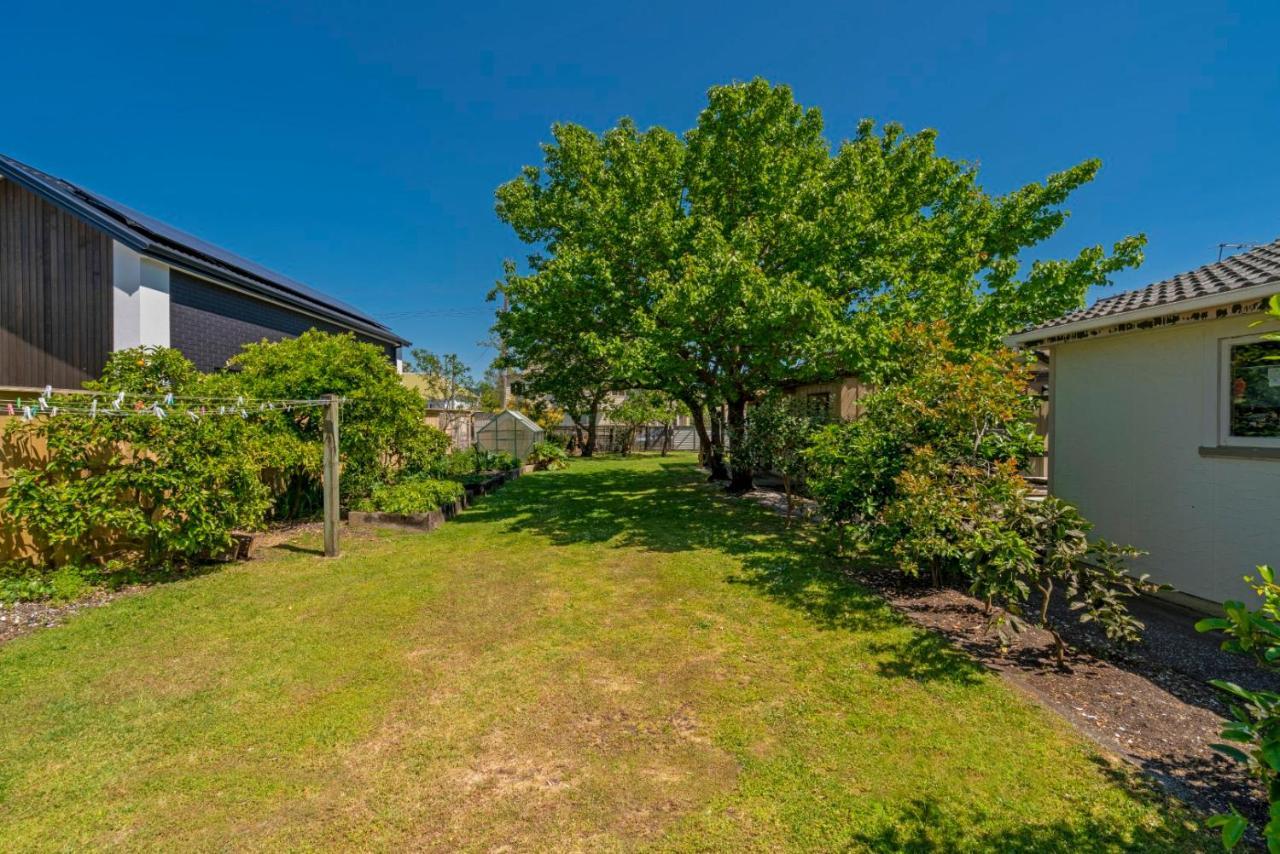 Rooftops Accommodation Whitianga Exteriör bild